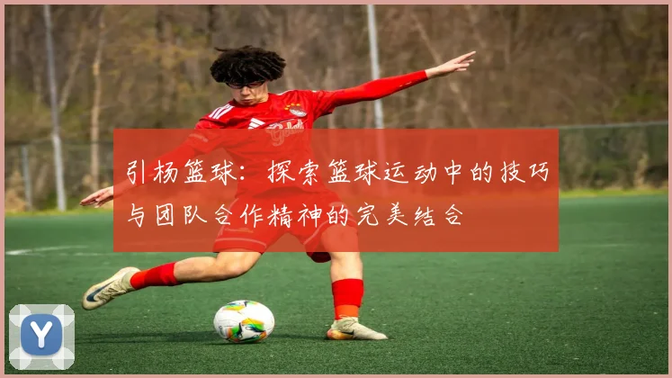 引杨篮球：探索篮球运动中的技巧与团队合作精神的完美结合