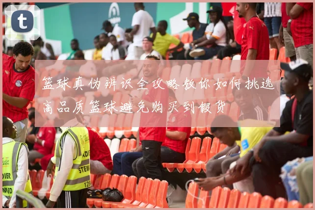 篮球真伪辨识全攻略教你如何挑选高品质篮球避免购买到假货