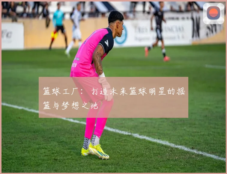 篮球工厂：打造未来篮球明星的摇篮与梦想之地